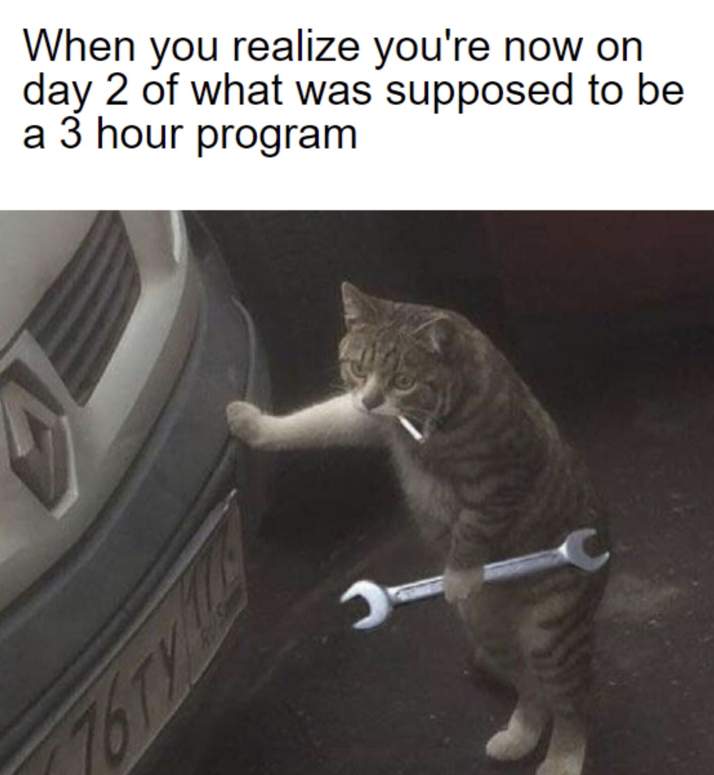 meme informatico gato 3 horas de trabajo
